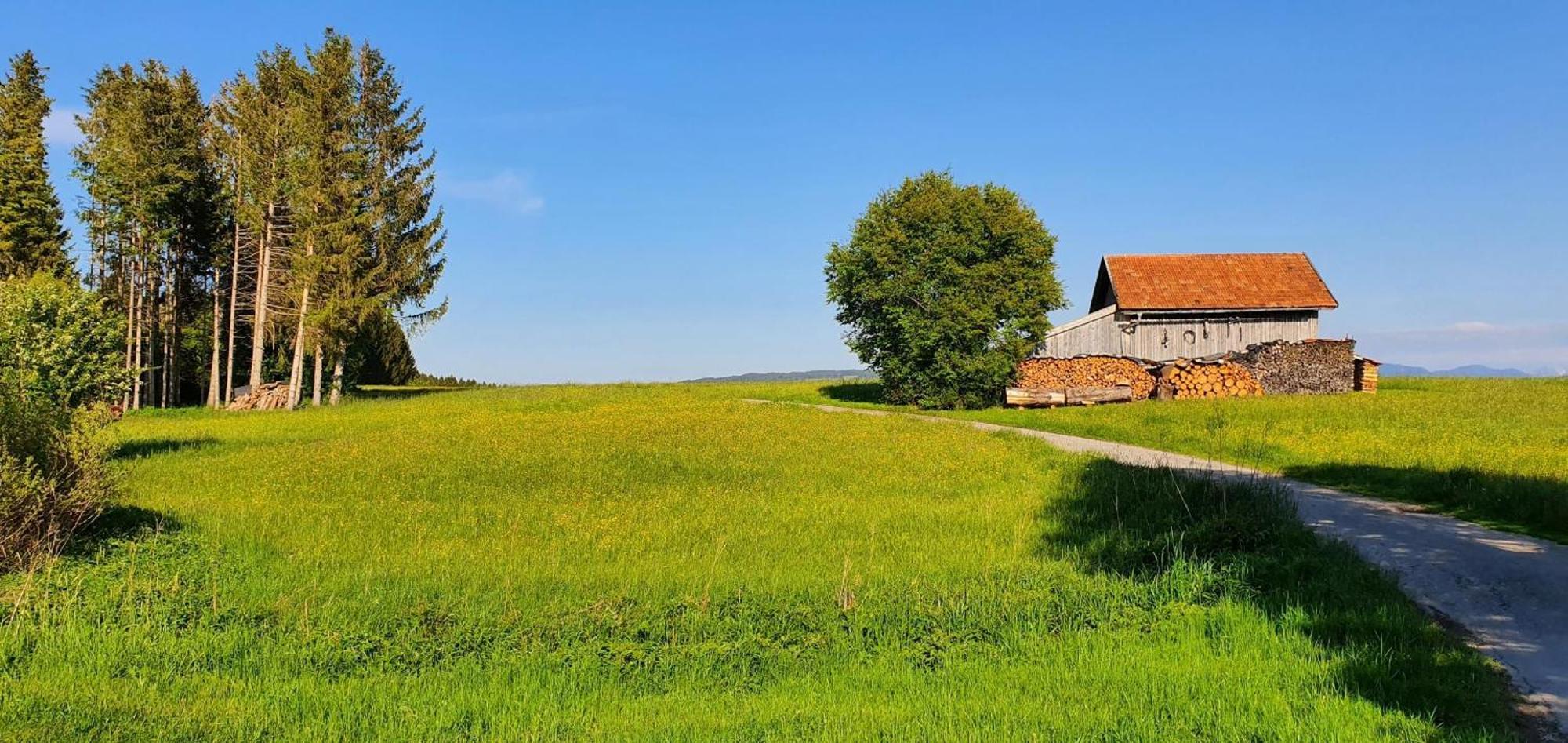 Lechbruck Am See Feriendorf Hochbergle Haus 140 Extérieur photo